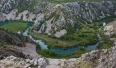 Naturpark velebit zentrum des endemismus