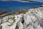 Ein verstecktes paradies auf erden nationalpark brijuni