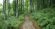 Naturpark ucka