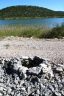Naturpark vrana see