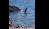 Fkk strand tomazevo krk kroatien