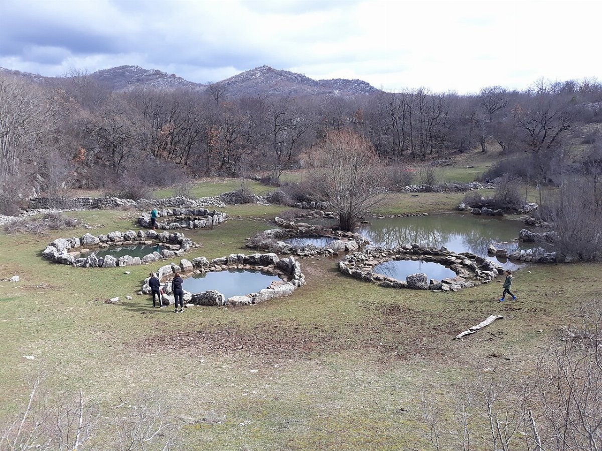Brunnen rajcica nisko