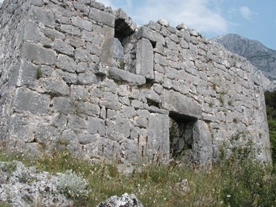 Buselic turm tucepi