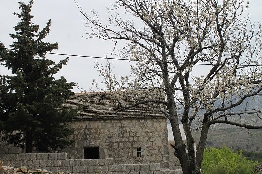 Kirche gospa od bezgresnog zaceca tugare
