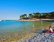 YLt1SJF.jpg